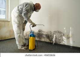 Trusted Stockdale, TX Mold Remediation Experts